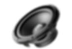 Focal RSB-250 Subwoofer 10 pulgadas 250W RMS - RSB-250 - imagen producto 4