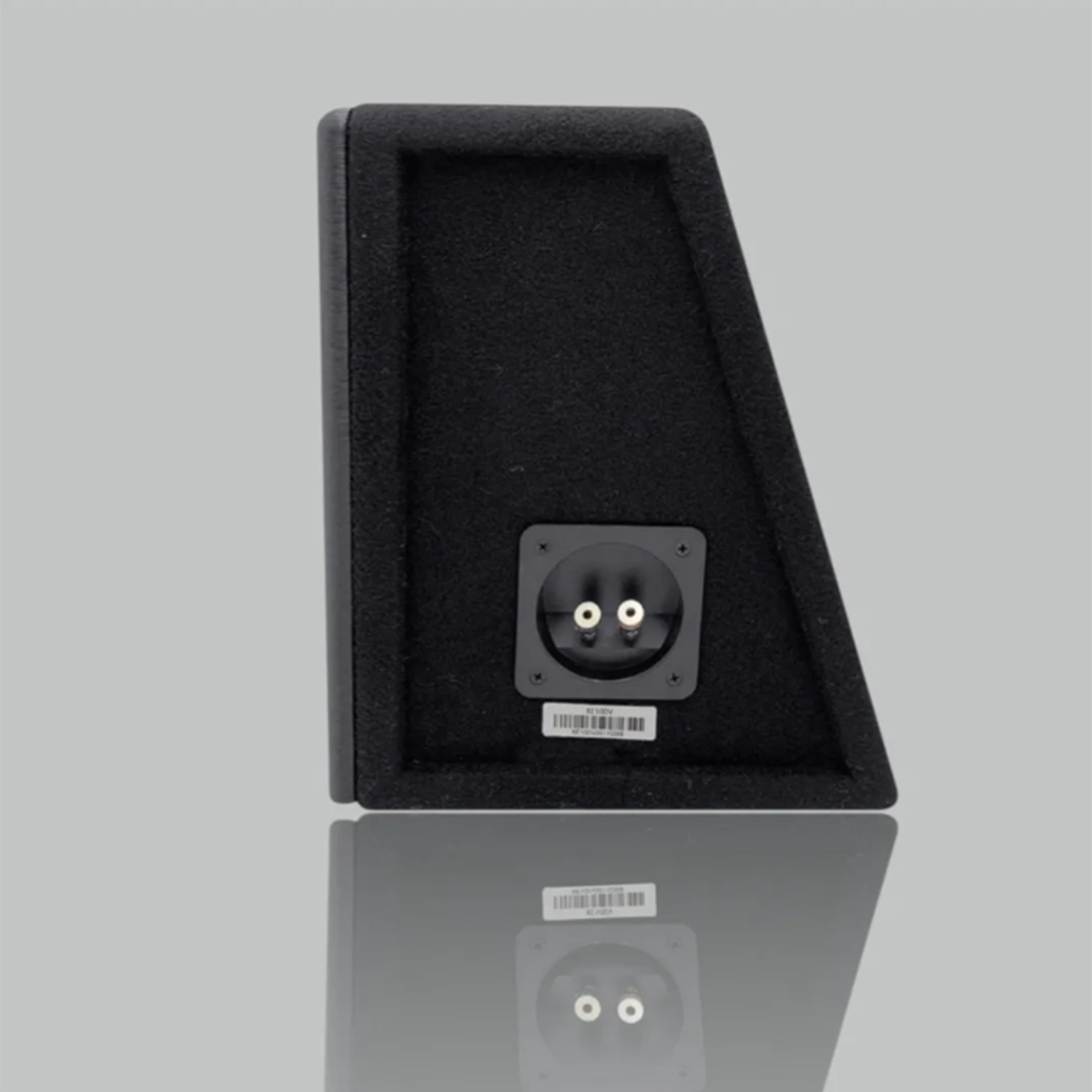 Cajón Dual Cerwin Vega con Subwoofers de 12 Pulgadas XE12DV