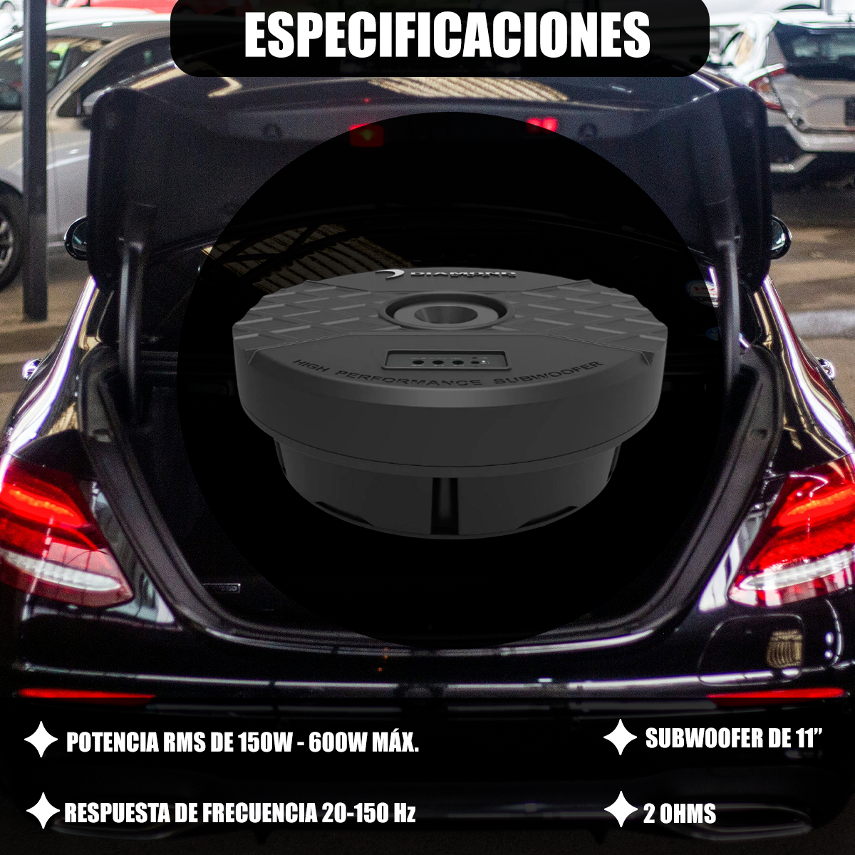 Subwoofer Diamond Audio Con Enclosure de Repuesto 11 Pulgadas