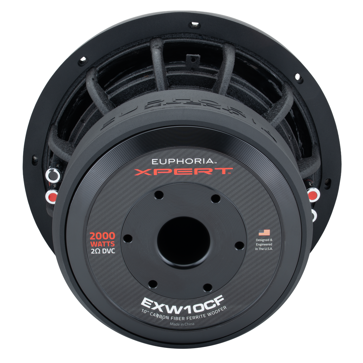 dB Drive EXW10CF: vista posterior, etiqueta de doble bobina de 2 ohms