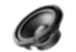 Focal RSB-250 Subwoofer 10 pulgadas 250W RMS - RSB-250 - imagen producto 3