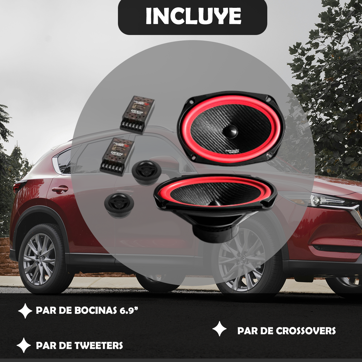 Set de Medios 6x9 Pulgadas Versión 2025 V69C