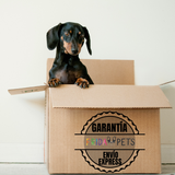 Arni Pets Tabletas con Árnica Montana 90 tabletas - Nartex