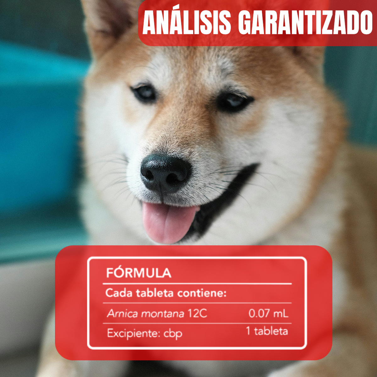 Arni Pets Tabletas con Árnica Montana 90 tabletas - Nartex