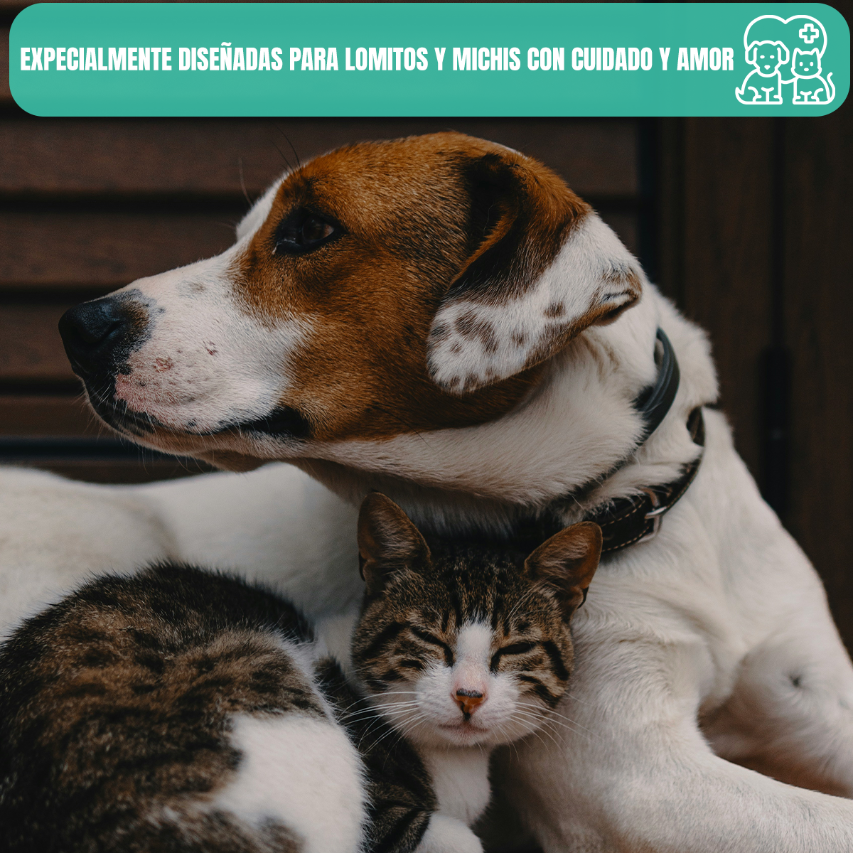 2 Pack 160 Toallitas Humedas Limpiadoras Pawsy Perros Gatos