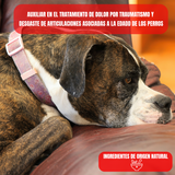 Arni Pets Tabletas con Árnica Montana 90 tabletas - Nartex