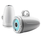 JL AUDIO M6-880ETXV3-GW-C-GWGW-I